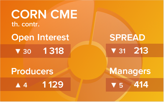 Кукуруза. Открытый интерес на 13 августа 2022