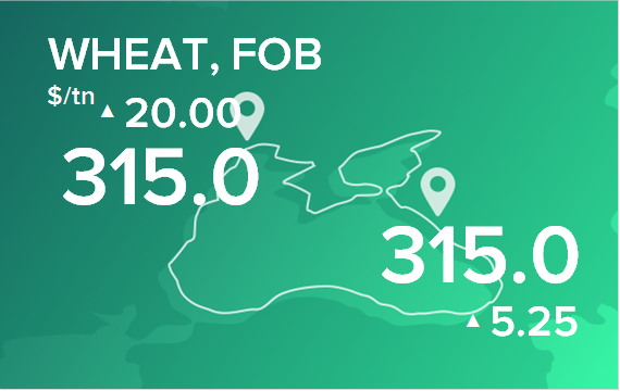 Пшеница. Цены в портах на 31 октября 2022