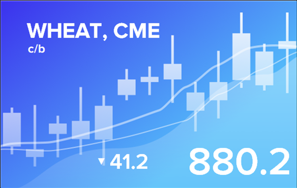 Прогноз биржевых цен с 10 по 14 октября 2022