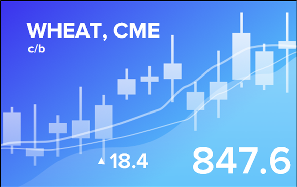 Прогноз биржевых цен с 7 по 11 ноября 2022