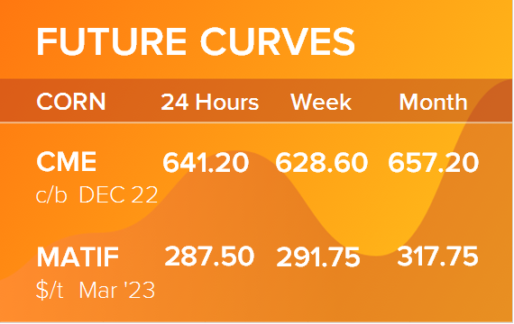 Кукуруза. Фьючерсные кривые на 12 декабря 2022