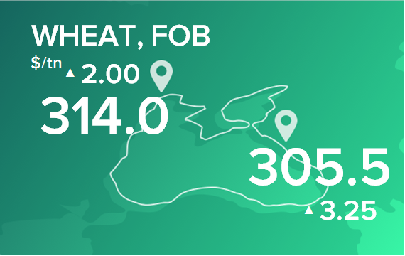 Пшеница. Цены в портах на 12 декабря 2022