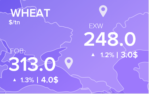 Цены FOB и EXW на 16 декабря 2022. Россия, Украина