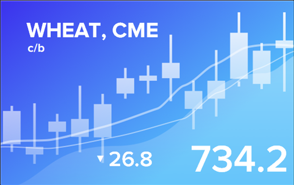 Price forecast from 12 to 16 of December 2022