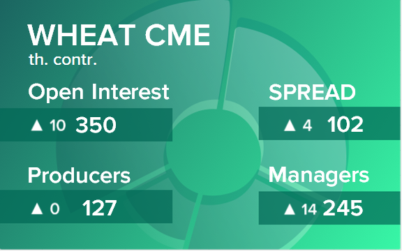 Пшеница. Открытый интерес на 28 января 2023