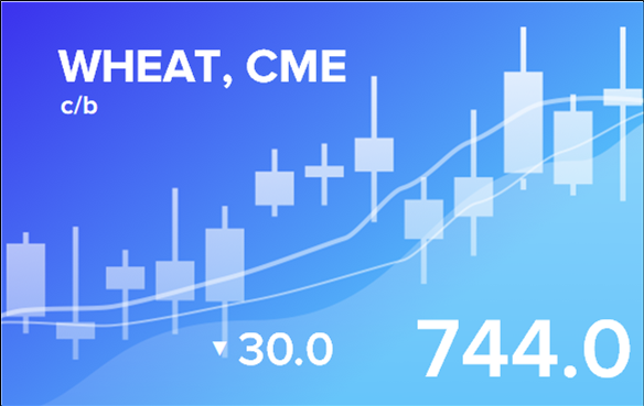 Price forecast from 9 to 13 January 2023
