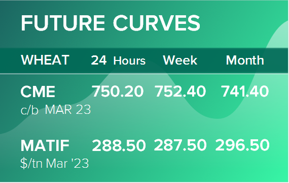Пшеница. Фьючерсные кривые на 6 февраля 2023