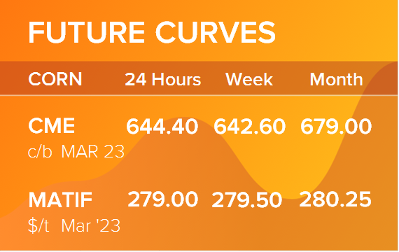 Кукуруза. Фьючерсные кривые на 6 марта 2023