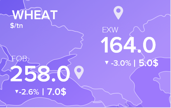 Цены FOB и EXW на 17 мая 2023. Россия, Украина