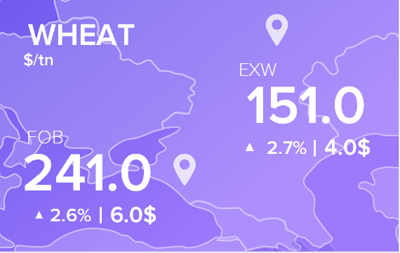 Цены FOB и EXW на 1 июня 2023. Россия, Украина