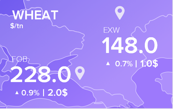 Цены FOB и EXW на 14 июня 2023. Россия, Украина