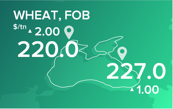 Пшеница. Цены в портах на 19 июня 2023