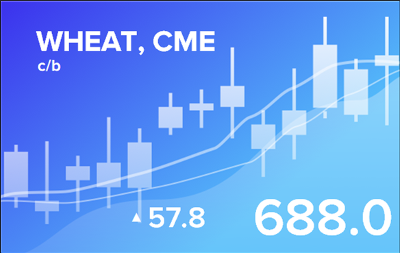 Price forecast from 19 to 24 of June 2023