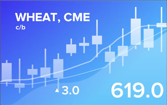 Price forecast from 5 to 9 of June 2023