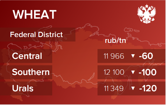 Проект россия турция