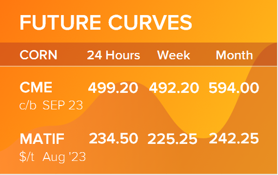 Кукуруза. Фьючерсные кривые на 17 июля 2023