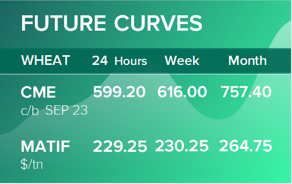 Пшеница. Фьючерсные кривые на 21 августа 2023