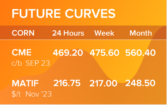 Кукуруза. Фьючерсные кривые на 21 августа 2023