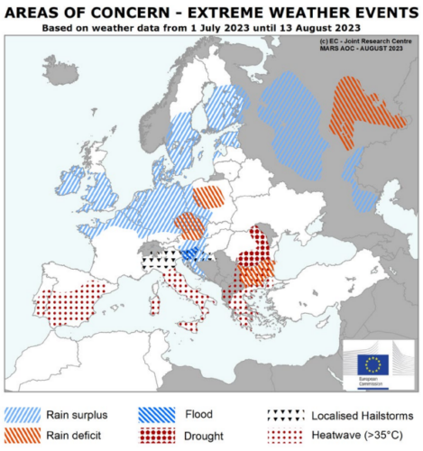 MARS. Мониторинг посевов в Европе от 21 августа 2023
