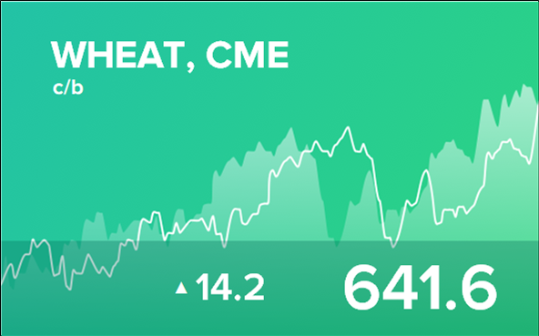 Прогноз биржевых цен на 24 августа 2023