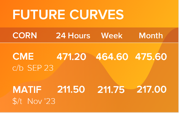 Кукуруза. Фьючерсные кривые на 11 сентября 2023