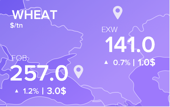 Цены FOB и EXW на 6 сентября 2023. Россия, Украина