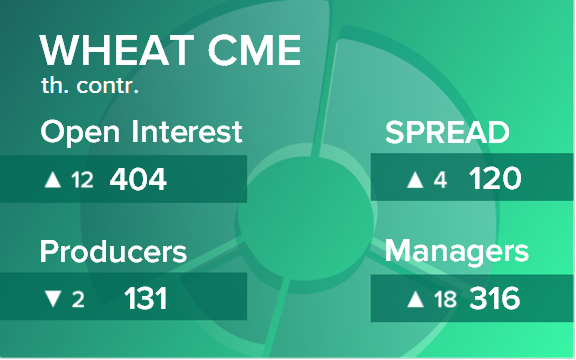 Пшеница. Открытый интерес на 23 сентября 2023