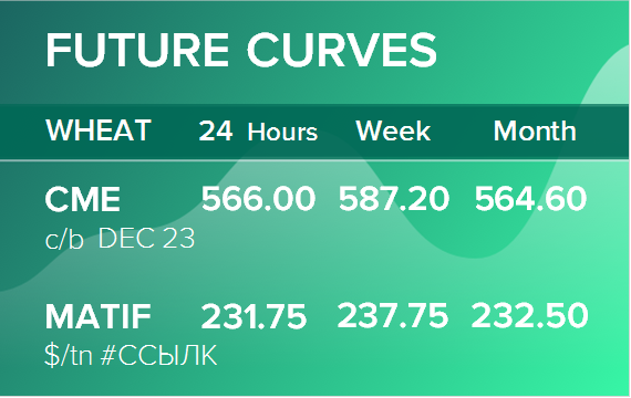 Пшеница. Фьючерсные кривые на 30 октября 2023