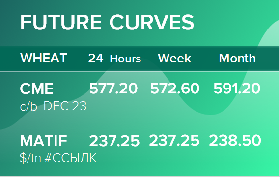 Пшеница. Фьючерсные кривые на 16 октября 2023