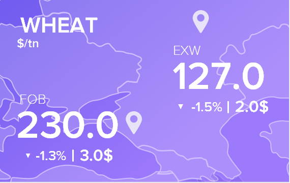 Цены FOB и EXW на 11 октября 2023. Пшеница. Кукуруза
