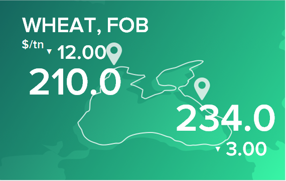 Пшеница. Цены в портах на 16 октября 2023