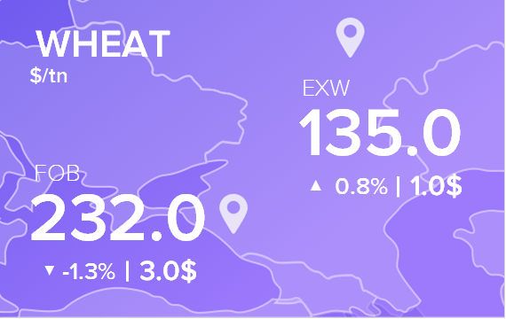Цены FOB и EXW на 23 октября 2023. Пшеница. Кукуруза