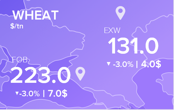 Цены FOB и EXW на 26 октября 2023. Пшеница. Кукуруза