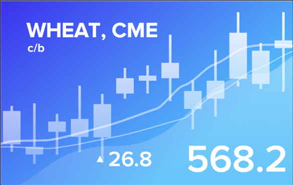 Price forecast from 9 to 13 of October 2023