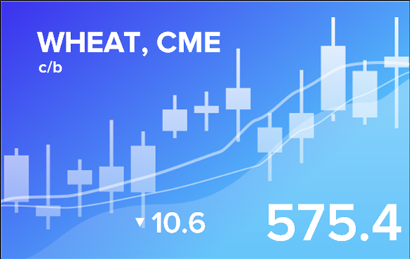 Прогноз биржевых цен с 30 октября по 3 ноября 2023