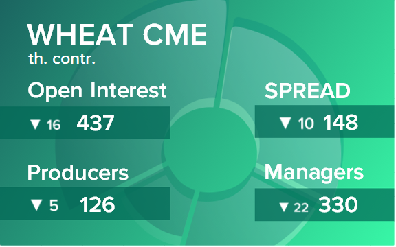 Пшеница. Открытый интерес на 18 ноября 2023