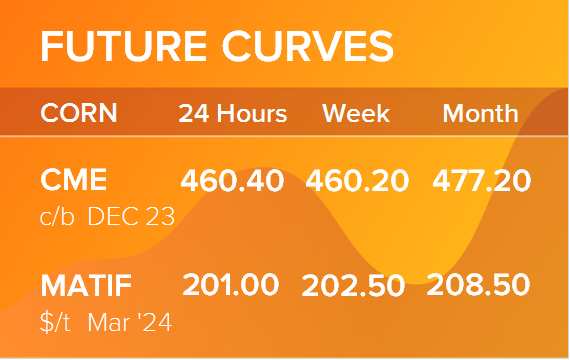 Кукуруза. Фьючерсные кривые на 11 декабря 2023