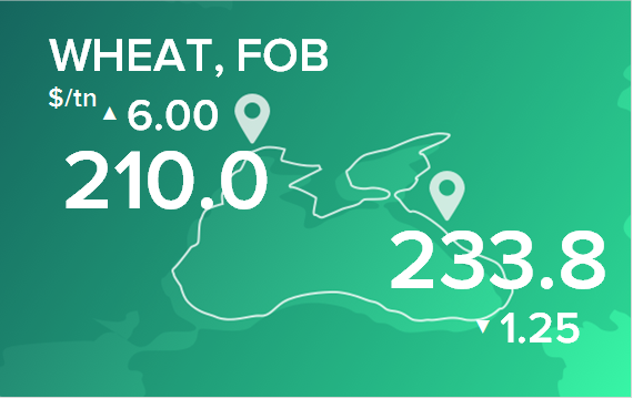 Пшеница. Цены в портах на 4 декабря 2023