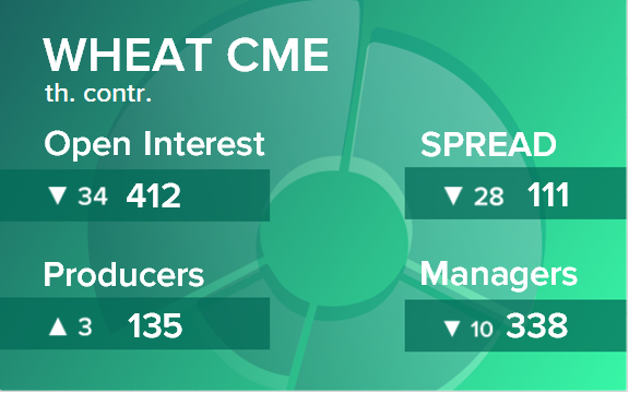 Пшеница. Открытый интерес на 2 декабря 2023