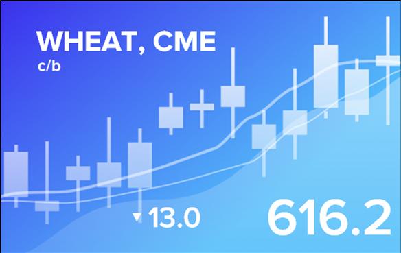 Price forecast from 25 to 29 December 2023