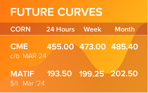 Кукуруза. Фьючерсные кривые на 8 января 2024