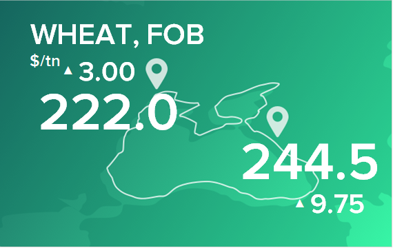 Пшеница. Цены в портах на 15 января 2024
