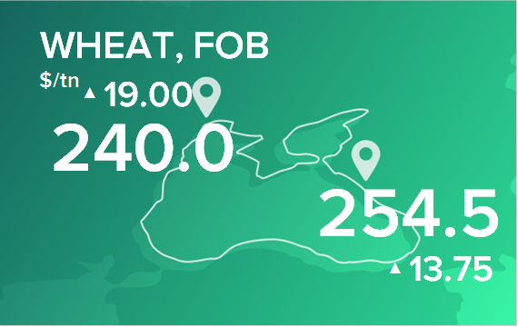 Пшеница. Цены в портах на 29 января 2024