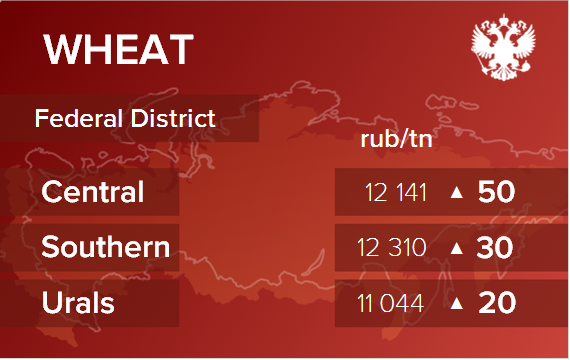 Обзор цен EXW по регионам РФ за неделю с 22 по 26 января 2024