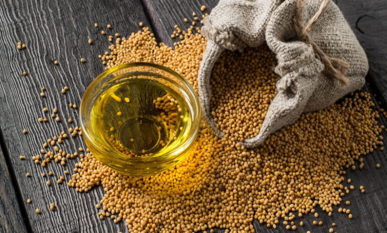 USDA. Масличные культуры: мировые рынки и торговля на 12 января 2024