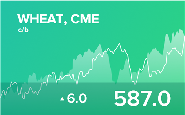 Прогноз биржевых цен на 19 января 2024