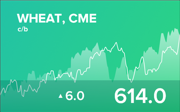 Прогноз биржевых цен на 11 января 2024
