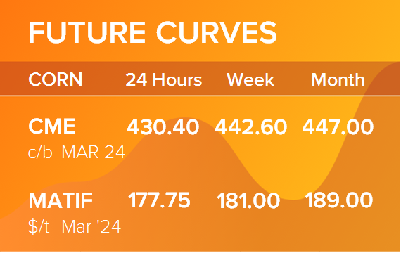 Кукуруза. Фьючерсные кривые на 12 февраля 2024