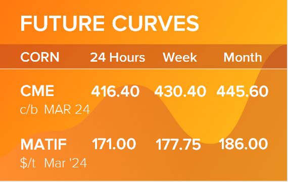 Кукуруза. Фьючерсные кривые на 19 февраля 2024