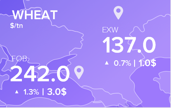 Цены FOB и EXW на 8 февраля 2024. Пшеница. Кукуруза